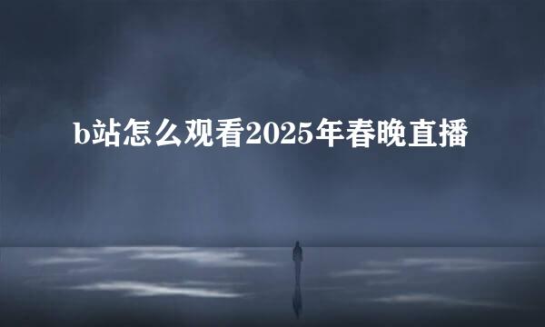 b站怎么观看2025年春晚直播