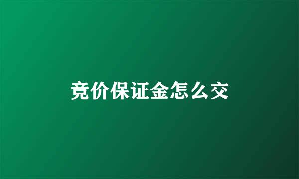 竞价保证金怎么交