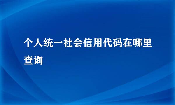 个人统一社会信用代码在哪里查询