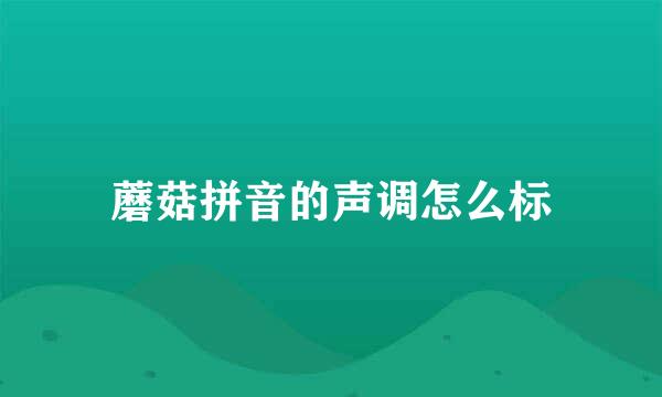 蘑菇拼音的声调怎么标