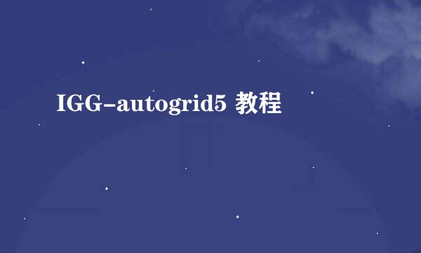 IGG-autogrid5 教程