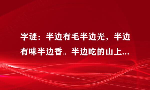 字谜：半边有毛半边光，半边有味半边香。半边吃的山上草，半边还在水里藏