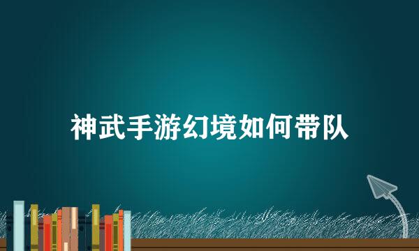 神武手游幻境如何带队
