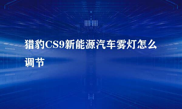 猎豹CS9新能源汽车雾灯怎么调节