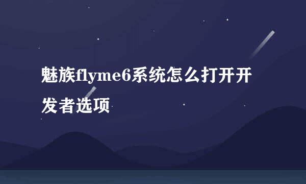 魅族flyme6系统怎么打开开发者选项