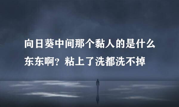 向日葵中间那个黏人的是什么东东啊？粘上了洗都洗不掉