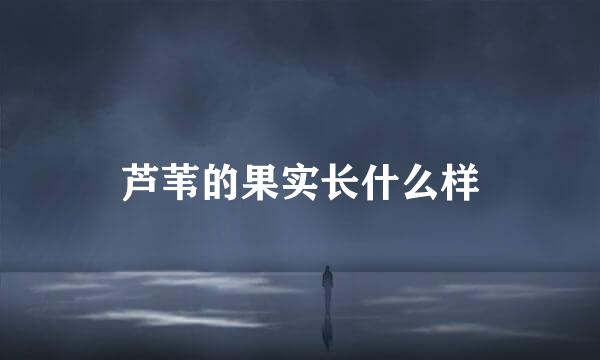 芦苇的果实长什么样