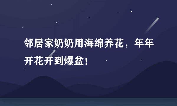 邻居家奶奶用海绵养花，年年开花开到爆盆！