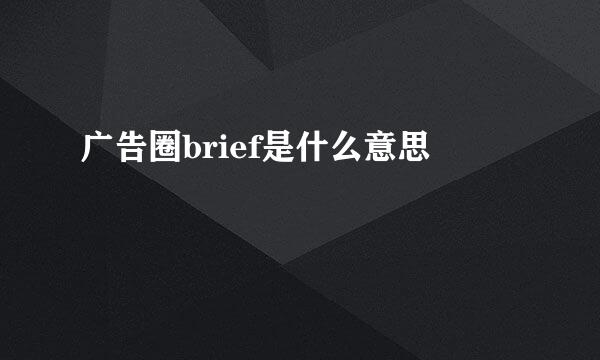 广告圈brief是什么意思