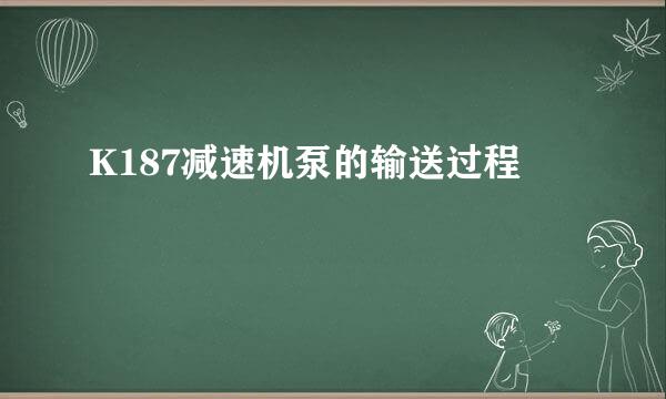 K187减速机泵的输送过程