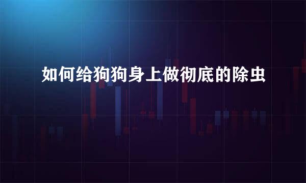 如何给狗狗身上做彻底的除虫