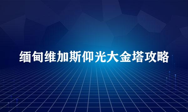 缅甸维加斯仰光大金塔攻略