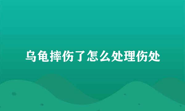 乌龟摔伤了怎么处理伤处