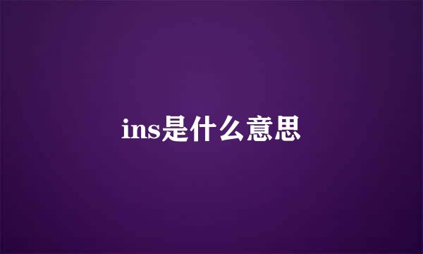 ins是什么意思