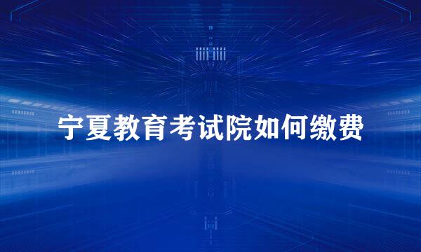宁夏教育考试院如何缴费