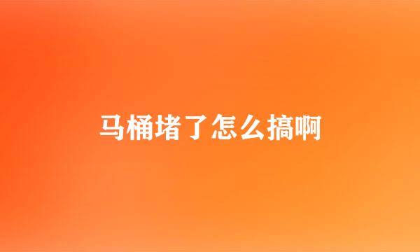 马桶堵了怎么搞啊