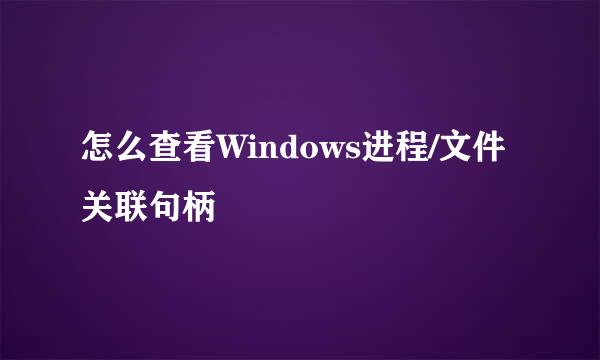怎么查看Windows进程/文件关联句柄