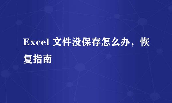 Excel 文件没保存怎么办，恢复指南