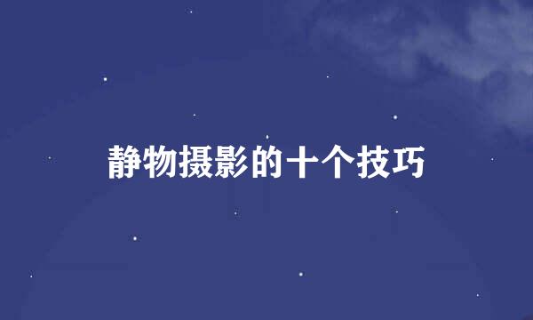 静物摄影的十个技巧