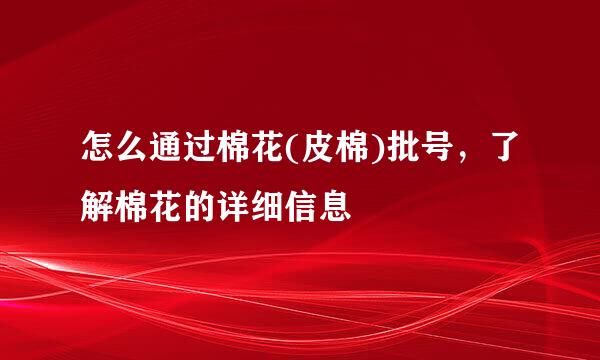 怎么通过棉花(皮棉)批号，了解棉花的详细信息