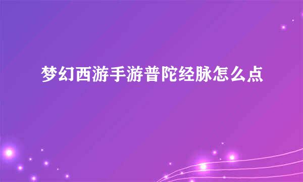 梦幻西游手游普陀经脉怎么点