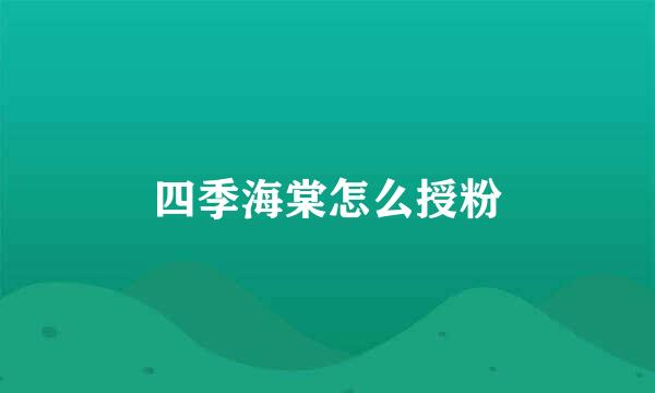 四季海棠怎么授粉
