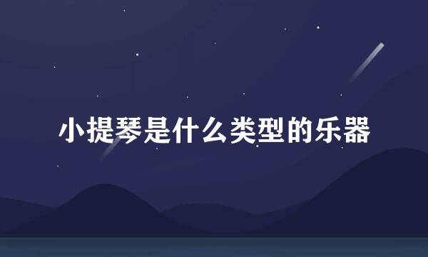 小提琴是什么类型的乐器