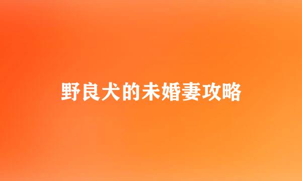 野良犬的未婚妻攻略