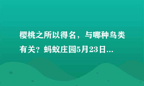 樱桃之所以得名，与哪种鸟类有关？蚂蚁庄园5月23日问题答案