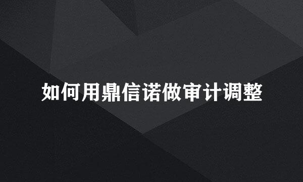 如何用鼎信诺做审计调整