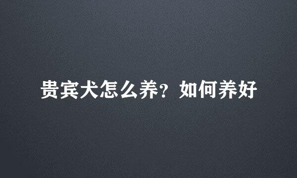 贵宾犬怎么养？如何养好