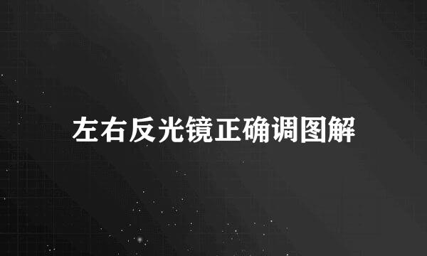 左右反光镜正确调图解