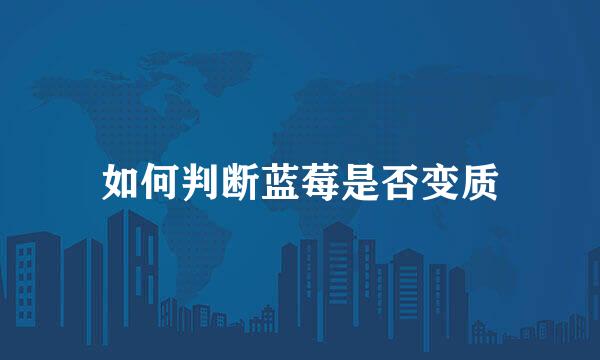 如何判断蓝莓是否变质