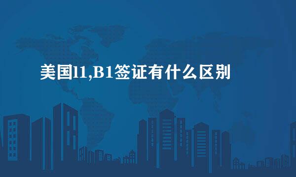 美国l1,B1签证有什么区别