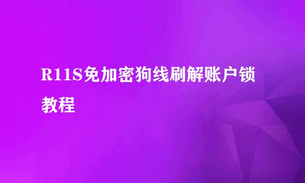 R11S免加密狗线刷解账户锁教程