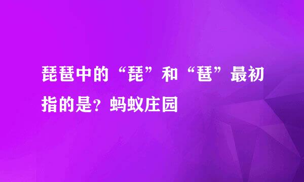 琵琶中的“琵”和“琶”最初指的是？蚂蚁庄园