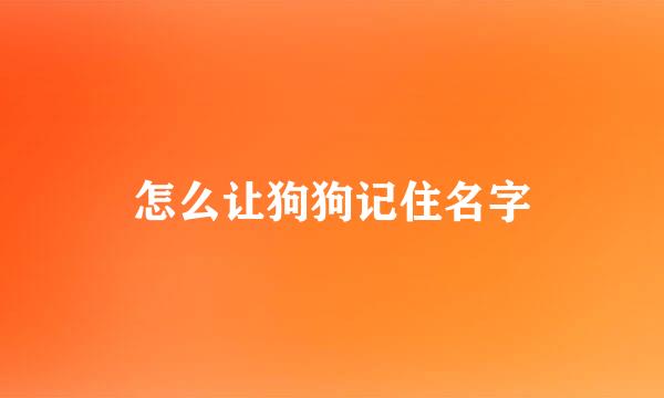 怎么让狗狗记住名字