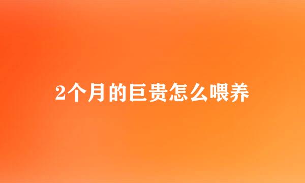 2个月的巨贵怎么喂养