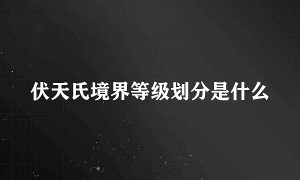 伏天氏境界等级划分是什么