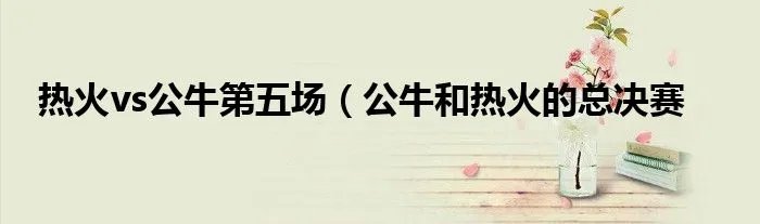 热火vs公牛第五场（公牛和热火的总决赛