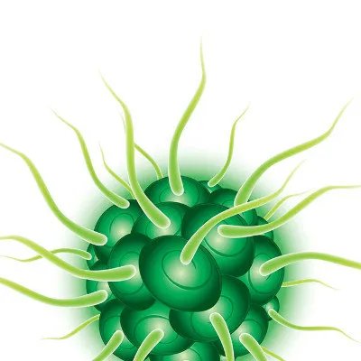 沙门菌感染怎么护理？