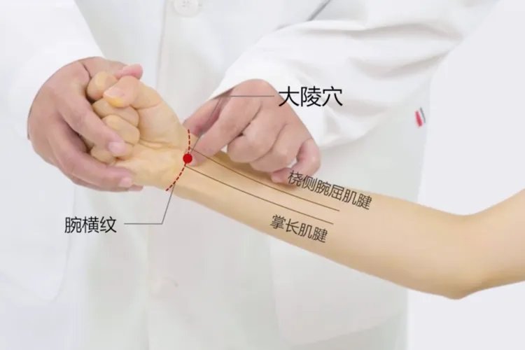痛经止痛掐手部哪里,位置图