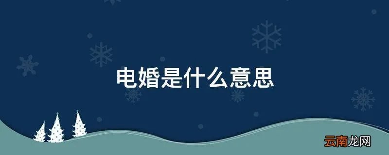 电婚是什么意思