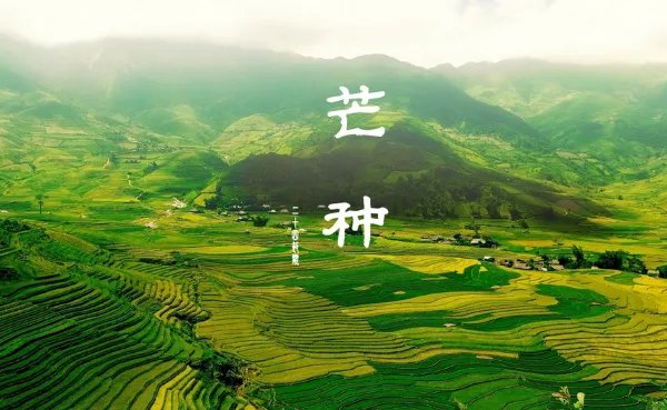 二十四节气图一套 美得令人窒息的二十四节气图