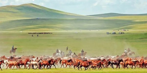 中国哪个草原最漂亮？最值得一去？