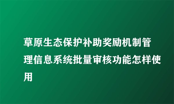 草原生态保护补助奖励机制管理信息系统批量审核功能怎样使用