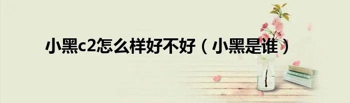 小黑c2怎么样好不好（小黑是谁）