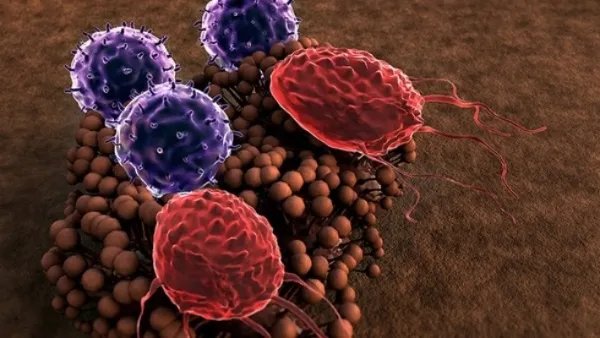 张文宏：这波疫情是倒春寒 我们该如何做好个人防护工作？