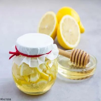 吸脂兽饼干的吃法 吸脂兽饼干的基本情况