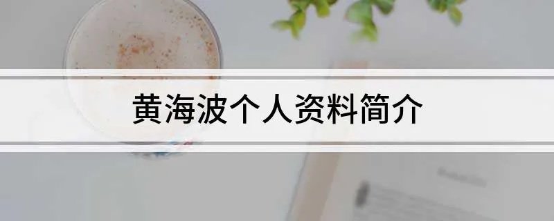 黄海波个人资料简介